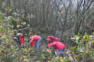 Geslaagde natuurwerkdag